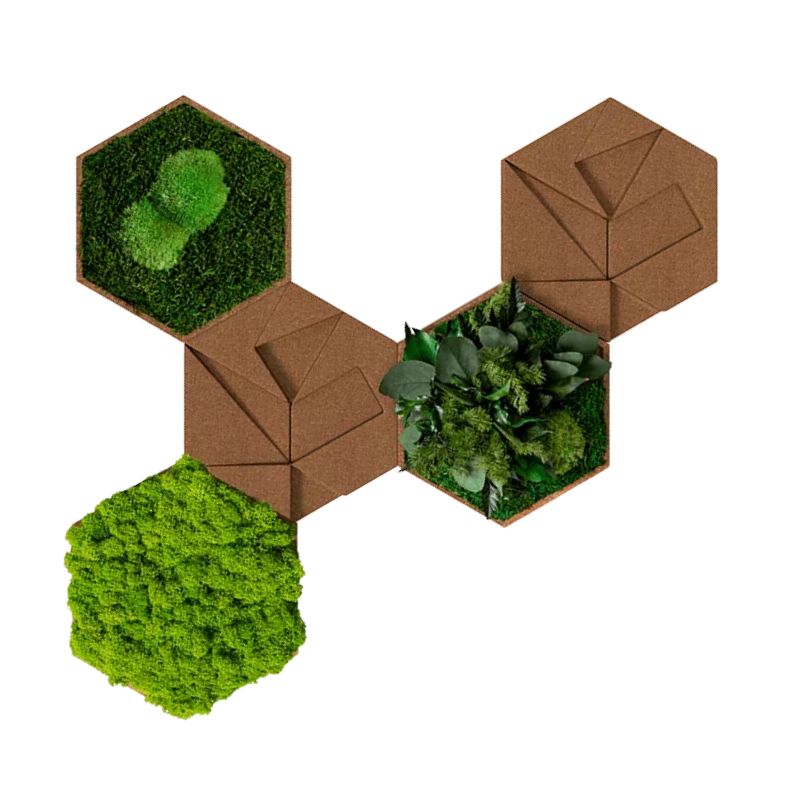 Hexagone