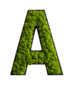 Piktogramm: Buchstaben Islandmoos