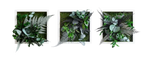 Pflanzenbild im Dschungeldesign 22x22cm 3er Set Vollholz (weiß)