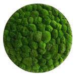 Moosbild: Kugelmoos-Ellipsoid 80cm