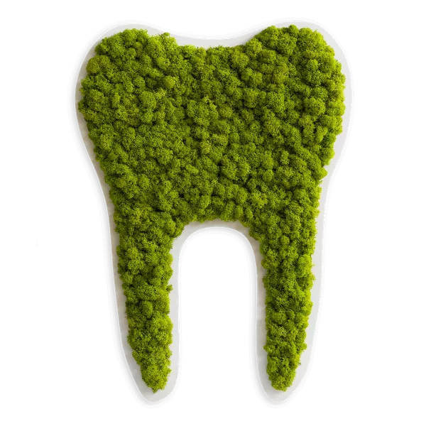 Piktogramm: Zahn groß Islandmoos Maigrün (50cm)