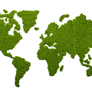 Pflanzbild Weltkarte